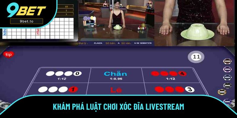 Khám phá luật chơi Xóc Đĩa Livestream Khám phá luật chơi Xóc Đĩa Livestream