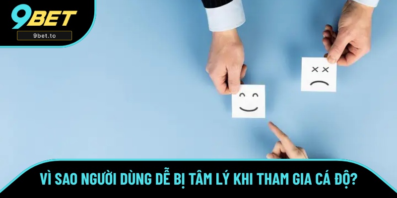 Nguyên nhân người chơi dễ bị chi phối cảm xúc Nguyên nhân người chơi dễ bị chi phối cảm xúc
