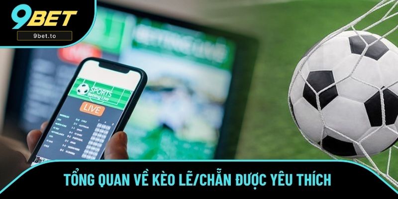 Tổng quan về kèo lẻ/chẵn được yêu thích Tổng quan về kèo lẻ/chẵn được yêu thích